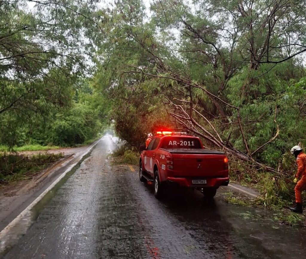 Bombeiros retiram árvore caída e restabelecem tráfego na zona rural de Bom Jesus da Lapa