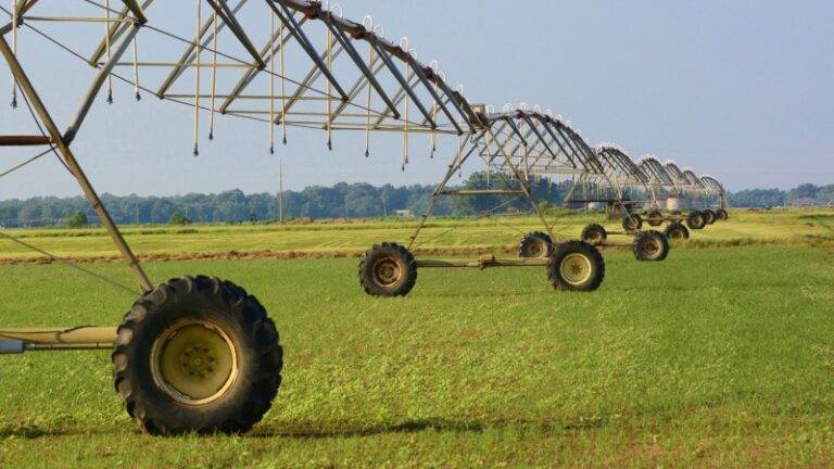 Área agrícola no Oeste da Bahia equipada com pivôs centrais de irrigação, mostrando lavouras verdes e bem distribuídas, representando o avanço da região como líder nacional em áreas irrigadas.