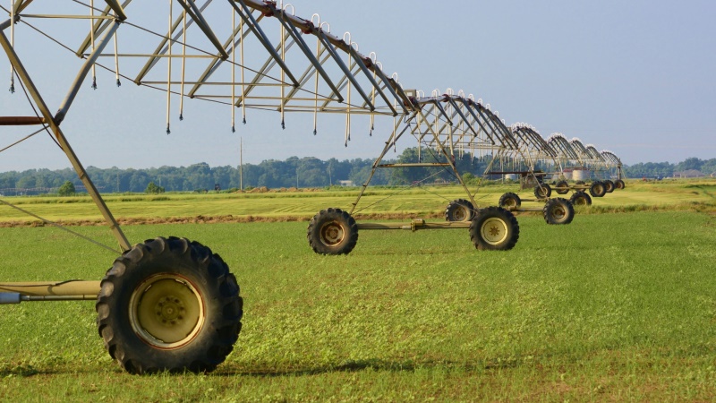 Área agrícola no Oeste da Bahia equipada com pivôs centrais de irrigação, mostrando lavouras verdes e bem distribuídas, representando o avanço da região como líder nacional em áreas irrigadas.