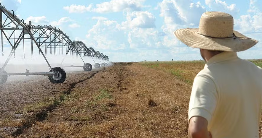 Irrigação por pivô central impulsiona a produção agrícola no Oeste da Bahia
