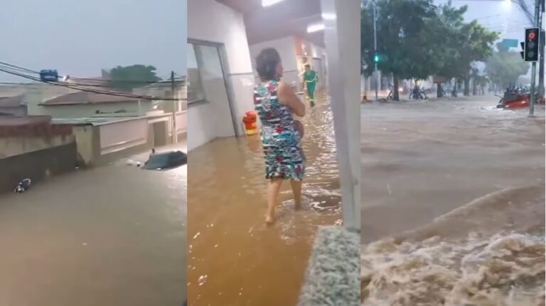 Árvore caída após forte chuva em Irecê, causada por temporal com ventos intensos e grande volume de água.