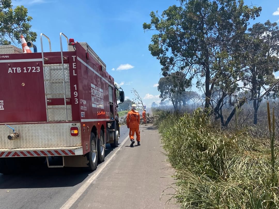 Bombeiros combatem incêndio em vegetação às margens da BR-242, em Barreiras, com fumaça intensa e árvore caída na pista