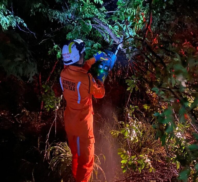 Bombeiros militares do 20º BBM removem árvore caída que interditou trecho da BR-430 em Riacho de Santana.