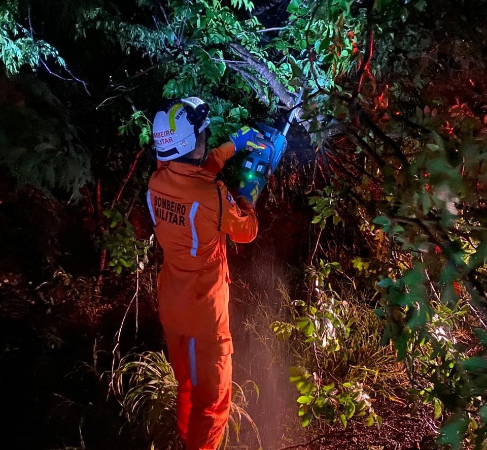 Bombeiros militares do 20º BBM removem árvore caída que interditou trecho da BR-430 em Riacho de Santana.