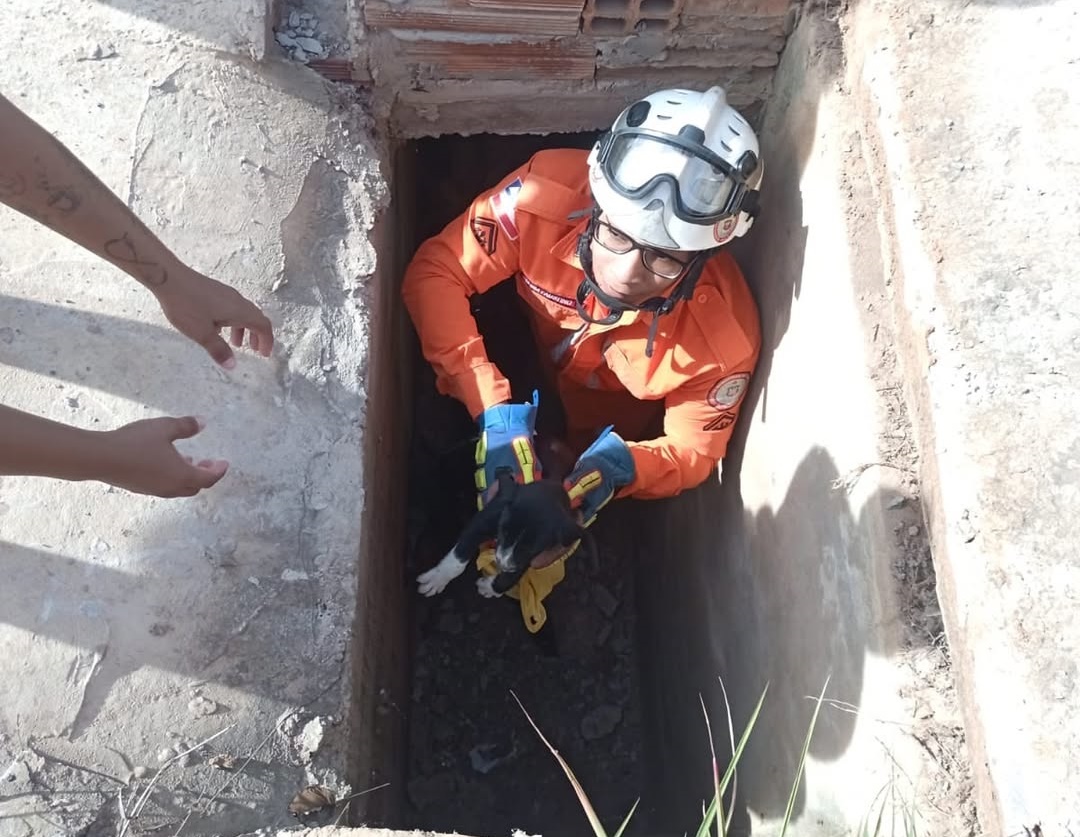 bombeiros militares resgatam filhote de cachorro que caiu em bueiro em Luís Eduardo Magalhães
