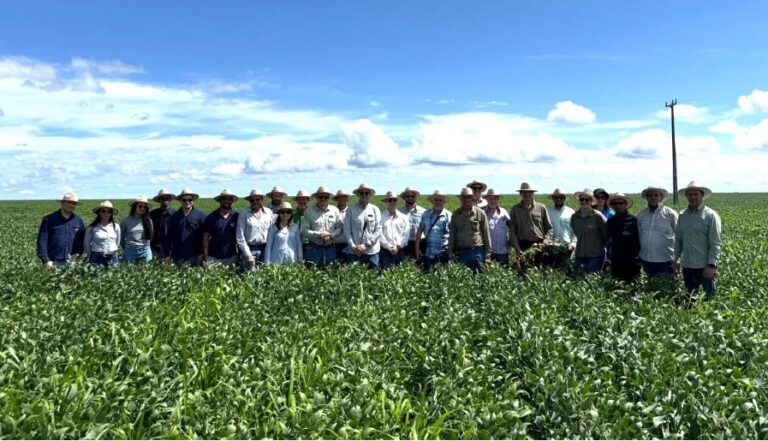 Produtores rurais e pesquisadores durante visita técnica a lavoura em Encontro Técnico sobre agricultura regenerativa na microrregião de Coaceral, em Formosa do Rio Preto, no oeste da Bahia.