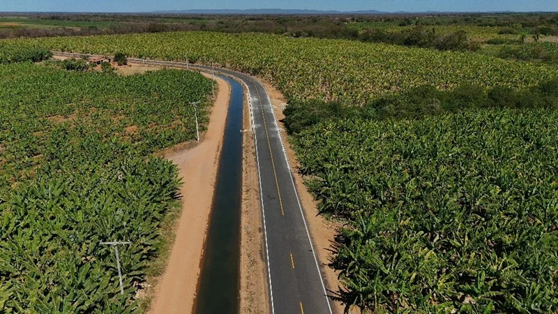 Plantação de banana no Projeto Formoso, em Bom Jesus da Lapa, reconhecida com Indicação Geográfica pelo INPI.