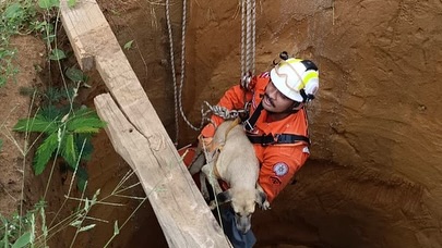 Bombeiros militares do 20º BBM realizam resgate de cachorro que caiu em fossa em construção em Bom Jesus da Lapa