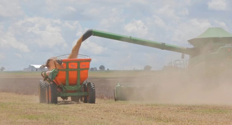 Máquinas agrícolas realizam colheita de soja em lavoura do Cerrado baiano sob céu parcialmente nublado.