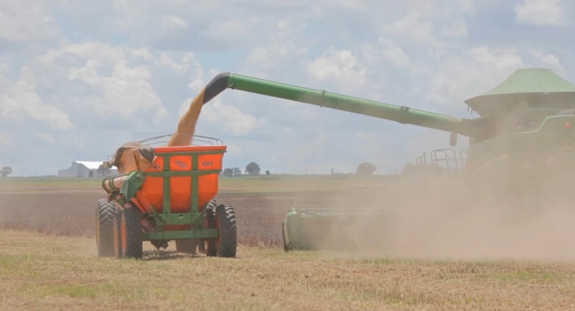 Máquinas agrícolas realizam colheita de soja em lavoura do Cerrado baiano sob céu parcialmente nublado.
