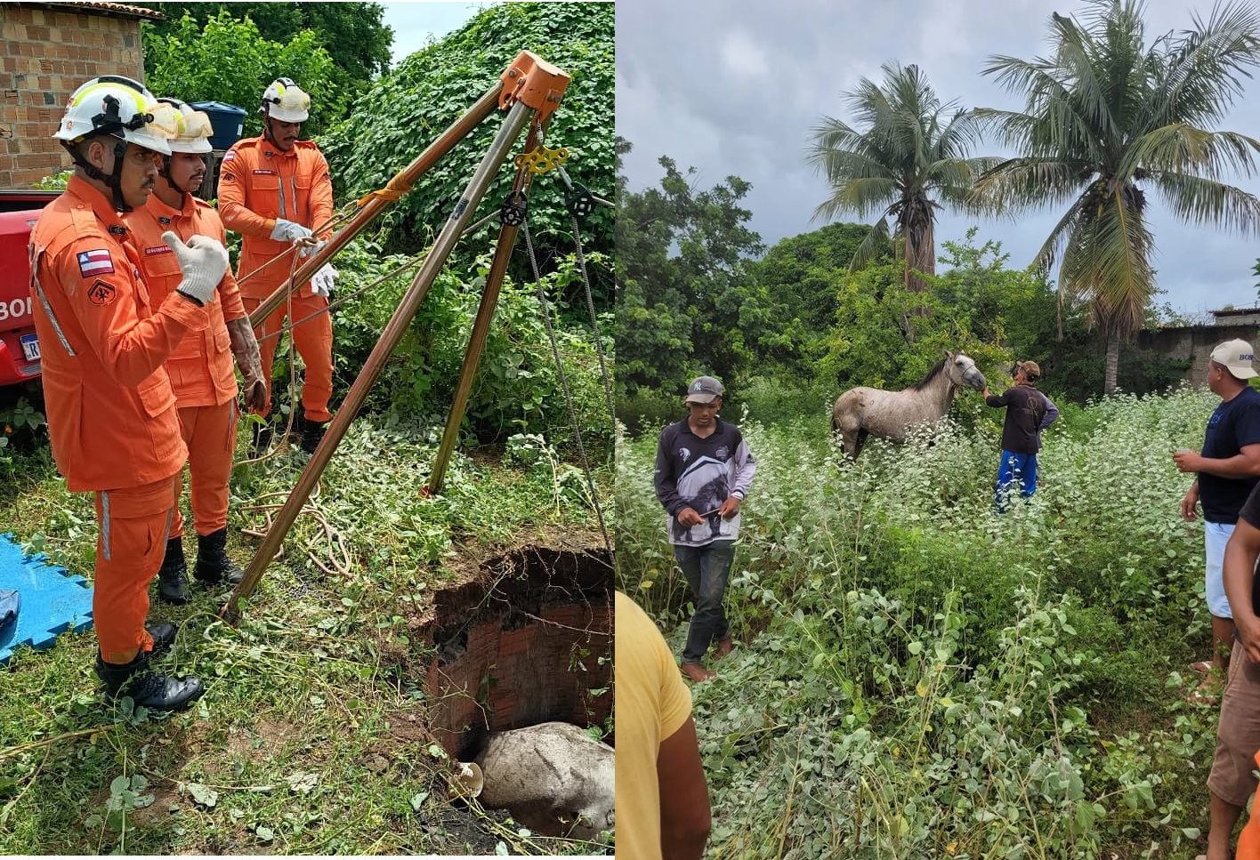 Cavalo sendo retirado de fossa por equipe do 20º BBM em Serra do Ramalho, no oeste da Bahia.