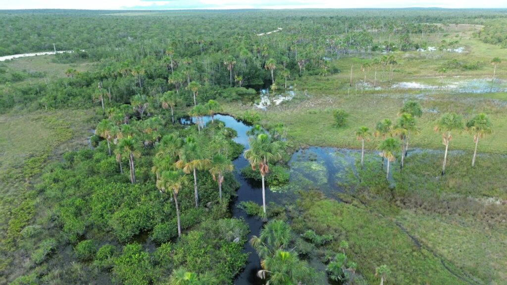 Sistema de irrigação e área agrícola no Cerrado baiano com foco na gestão sustentável da água e monitoramento hídrico