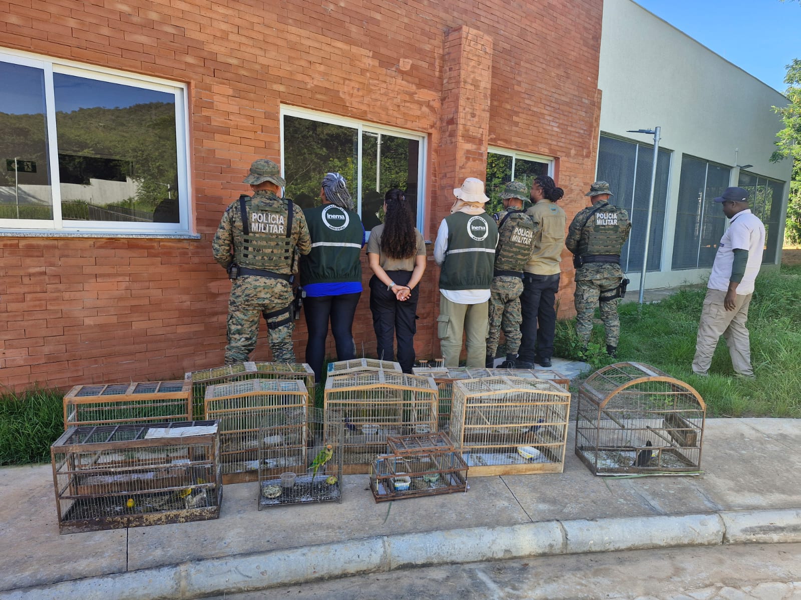 Equipes do Inema e CIPPA durante fiscalização ambiental no Oeste da Bahia, com resgate de animais silvestres e apreensão de materiais ilegais