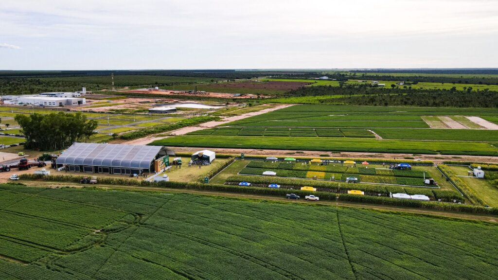 Área experimental com cultivares de soja e milho apresentada durante a Passarela da Soja e Milho da Fundação Bahia em Luís Eduardo Magalhães.