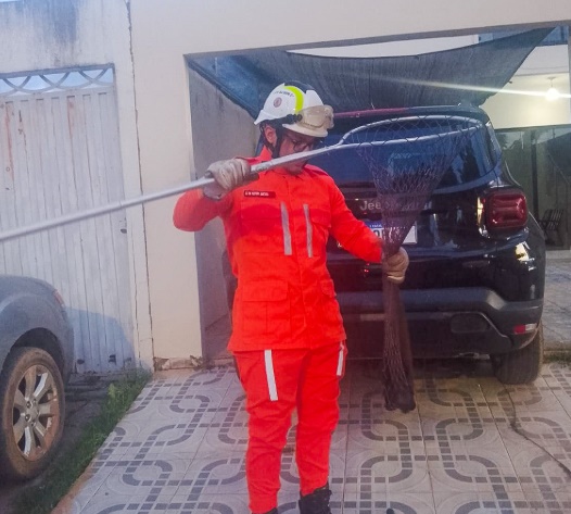 Bombeiros do 17º BBM durante resgate de gato preso nas engrenagens de um carro no bairro Recanto dos Pássaros, em Barreiras.