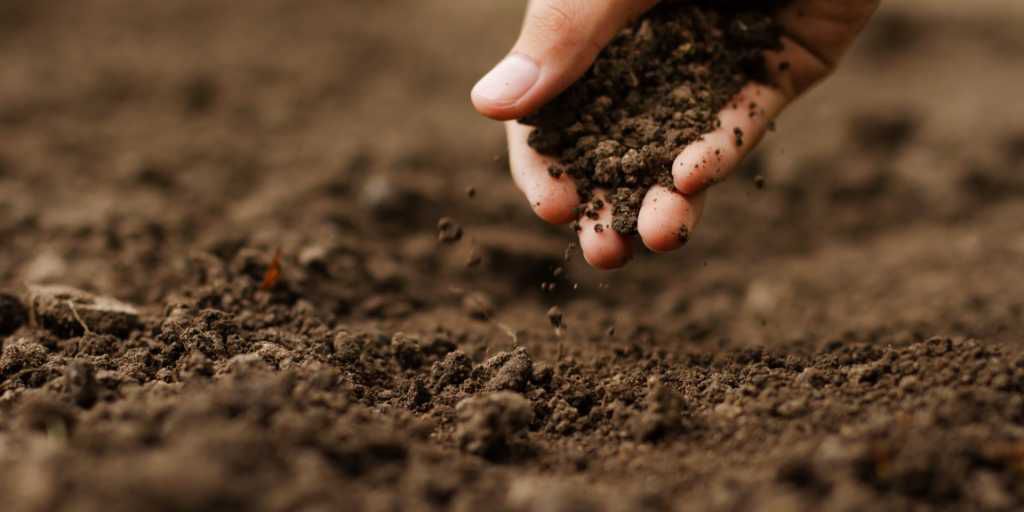 Auditório com pesquisadores, produtores e especialistas participando de simpósio sobre solos arenosos em Luís Eduardo Magalhães