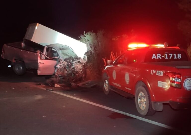 Cena de acidente na BR-135 em São Desidério com caminhão e caminhonete envolvidos após colisão