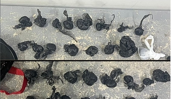 Policiais militares da CIPE/Cerrado exibem drogas apreendidas durante operação em Luís Eduardo Magalhães