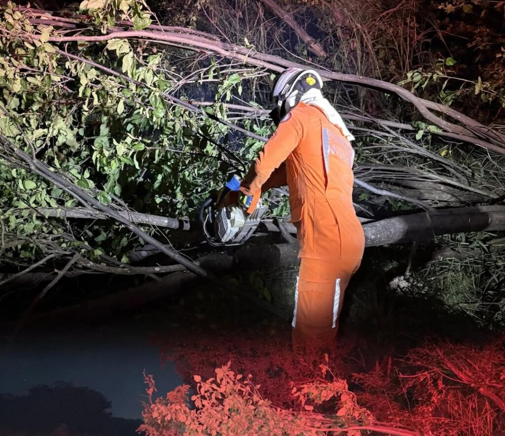 Árvore caída bloqueando parcialmente a BR-349 enquanto bombeiros realizam a remoção