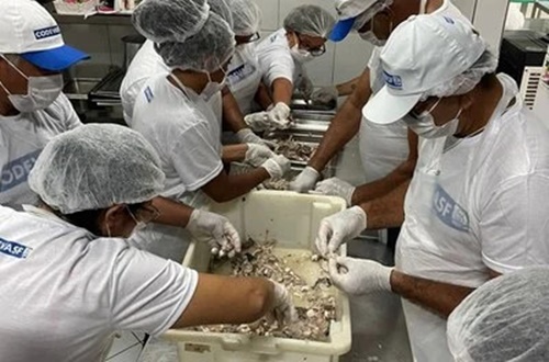 Alunos participando de aula prática de beneficiamento de pescado em cozinha industrial do IFBA em Bom Jesus da Lapa