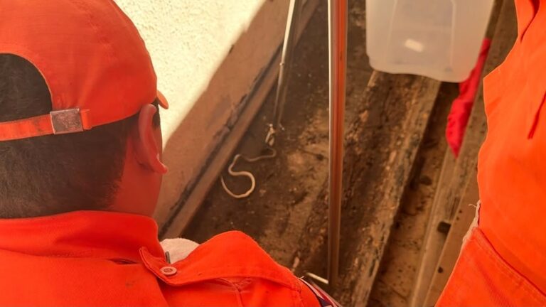Bombeiros militares realizam resgate de cobra encontrada em residência no bairro Primavera II, em Bom Jesus da Lapa