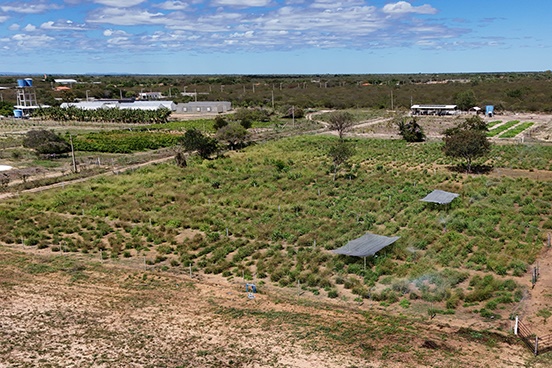 Participantes acompanham atividades técnicas durante o 3º Dia de Campo sobre Manejo e Pastagens realizado na Fazenda Escola da UFOB, em Barra.