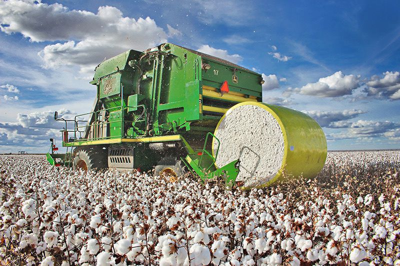 Fardos de algodão prontos para exportação em terminal logístico do agronegócio brasileiro