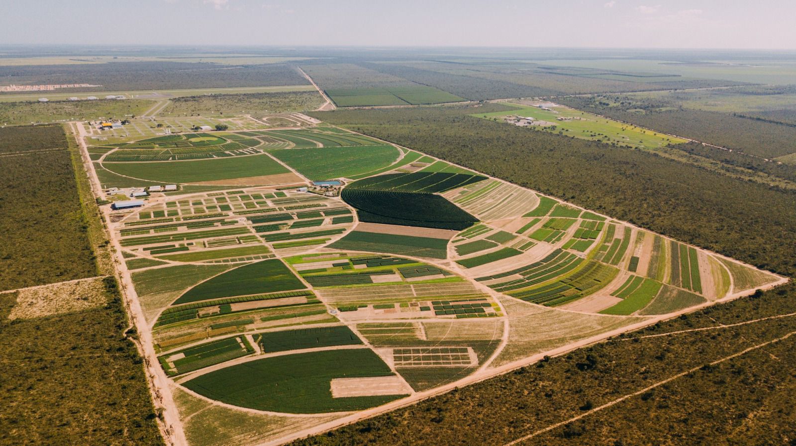 Representantes da Fundação Bahia, pesquisadores, produtores rurais e lideranças do agronegócio reunidos durante evento estratégico na Bahia Farm Show 2026.