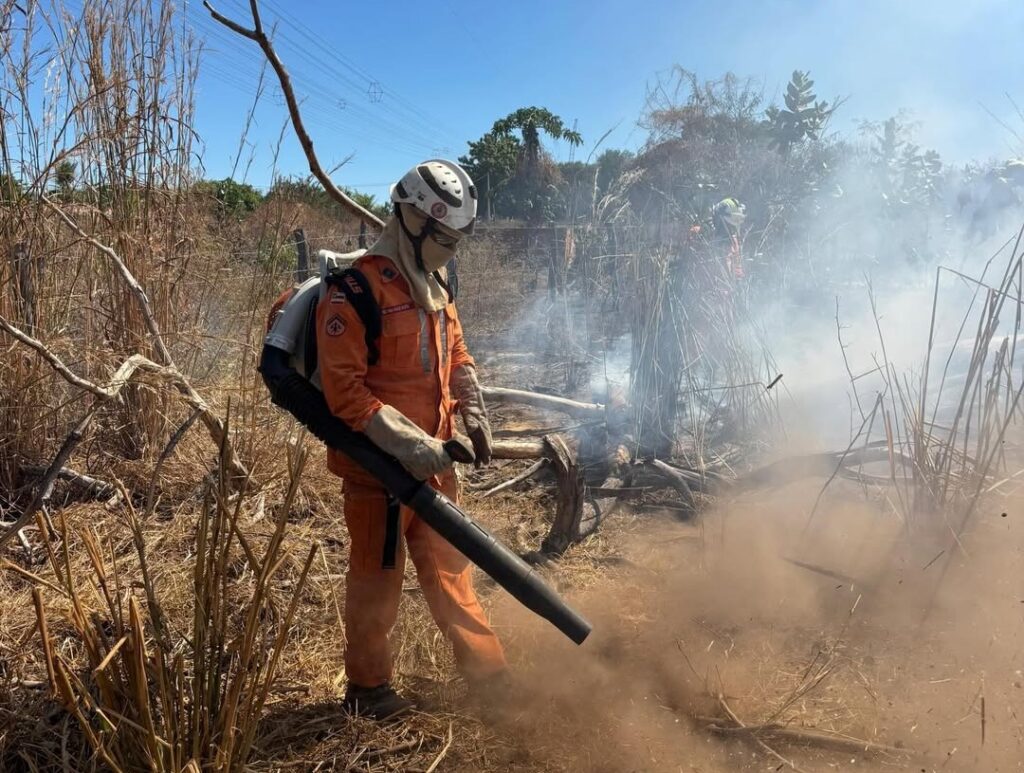 Bombeiros militares combatem incêndio em vegetação utilizando equipamentos especializados em área de mata em Bom Jesus da Lapa.