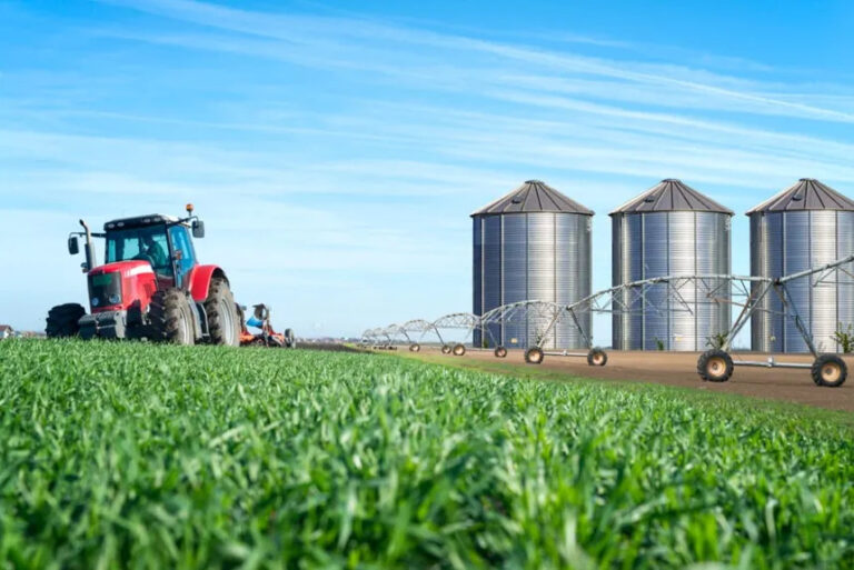 Área de produção agrícola no Oeste da Bahia, região que se destaca no agronegócio estadual.