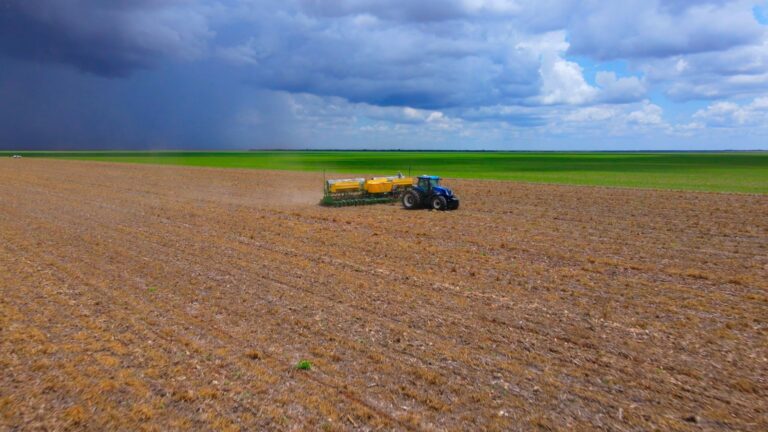 Técnicos da Aiba realizam monitoramento fitossanitário em lavoura de soja no Cerrado baiano, reforçando ações de produtividade, sustentabilidade e qualidade no agronegócio regional.