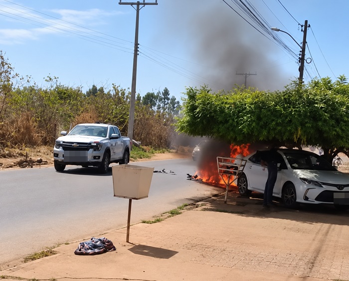Equipes do Corpo de Bombeiros, SAMU e Sutrans atendem ocorrência após ataque de enxame de abelhas em rua de Luís Eduardo Magalhães.