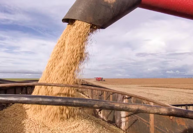 Agência do Banco do Brasil simbolizando o anúncio de R$ 7,2 bilhões em crédito rural para financiar a safra 2026/27 na Bahia, com destaque para o Oeste baiano.