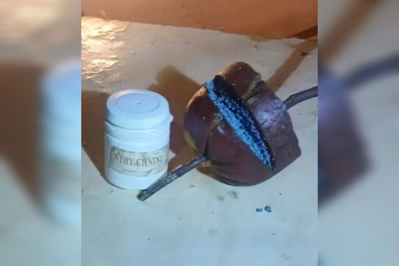 Policiais realizam levantamento em propriedade rural de Santa Rita de Cássia, onde ao menos três cães morreram após suspeita de envenenamento com estricnina.