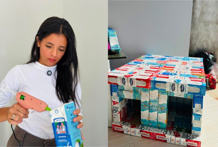 Maria Clara, estudante de Barreiras, exibe uma casinha construída com caixas de leite recicladas para abrigar cães e gatos em situação de rua.
