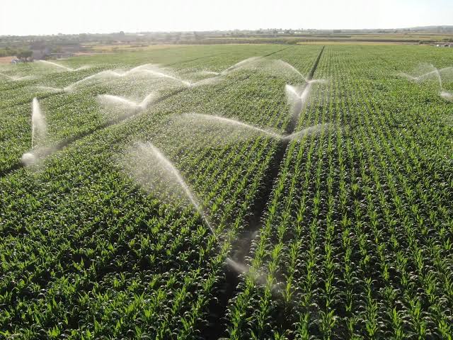 Produtora rural Cristina Gross destaca a importância de investimentos em infraestrutura, logística, energia e segurança jurídica para fortalecer o agronegócio no Oeste da Bahia e na região do Matopiba.