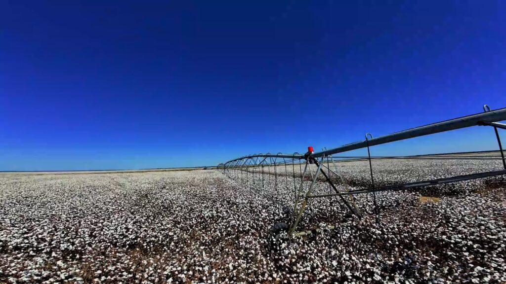 Pivô central irrigando lavoura de soja no Oeste da Bahia, região que lidera a irrigação por pivôs centrais no Brasil e amplia investimentos em tecnologia para enfrentar os desafios climáticos.