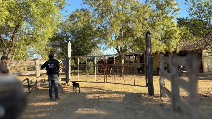 Policiais civis durante a Operação Laço Falso que recuperou nove cabeças de gado e apreendeu armas em Santa Rita de Cássia e Riachão das Neves, no oeste da Bahia.