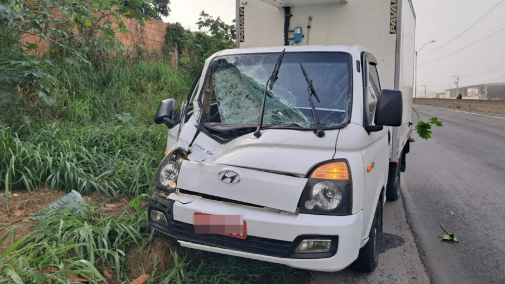 Cabine de caminhão frigorífico destruída após colisão com um cavalo na BR-324, em Feira de Santana, enquanto seguia para Irecê e Barreiras.