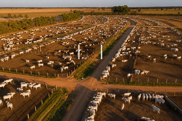 Confinamento de gado com capacidade para 65 mil bovinos no Oeste da Bahia, em operação integrada à produção agrícola.