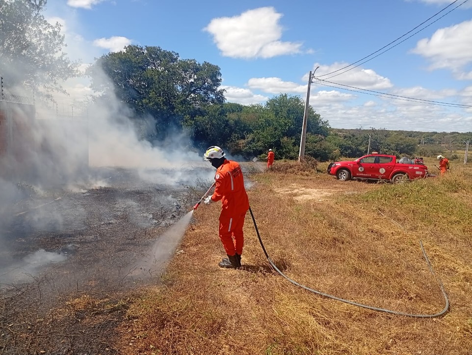 Focos de incêndio e queimadas registrados no oeste da Bahia durante a primeira quinzena de agosto.