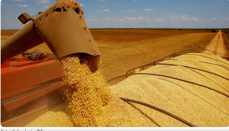 Lavoura de soja no Oeste da Bahia, região que lidera a produção brasileira com São Desidério no topo do ranking.
