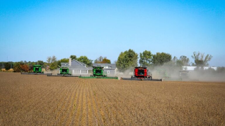 Área agrícola da Fazenda Rio do Meio, em Correntina, no Oeste da Bahia, vendida pela BrasilAgro por R$ 96,4 milhões.