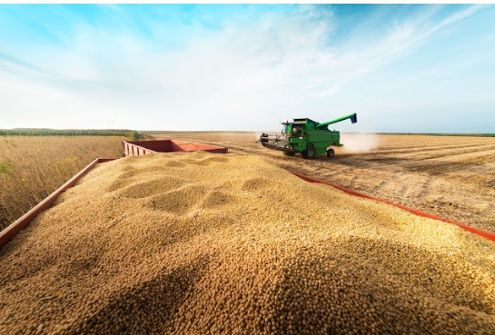 São Desidério, no Oeste da Bahia, aparece como o segundo município com maior valor de produção agrícola do Brasil em 2025.