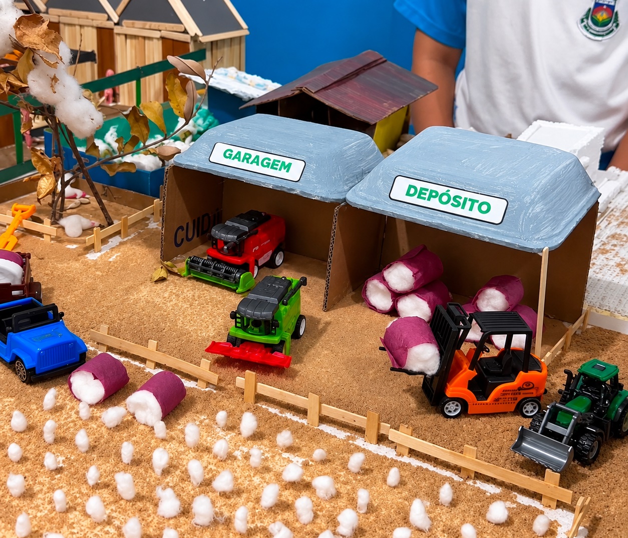 Alunos do programa Conhecendo o Agro apresentam trabalhos sobre culturas agrícolas e sustentabilidade durante feira pedagógica em Luís Eduardo Magalhães.