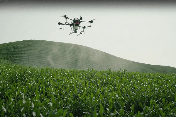 Drone agrícola pulverizador sobrevoa uma lavoura de soja no Oeste da Bahia, ilustrando o uso da tecnologia para aumentar a eficiência no manejo da safra 2026/27.