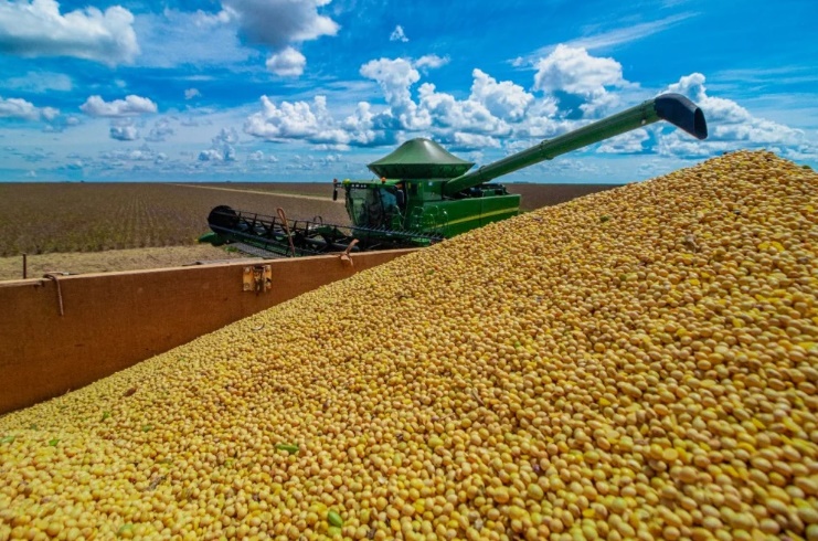 Lavoura de grãos no Oeste da Bahia, região que concentra parte significativa da produção agrícola estadual.